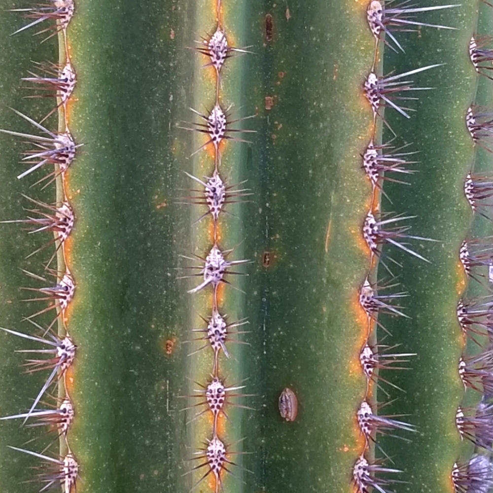 Meet your Posher, Eva